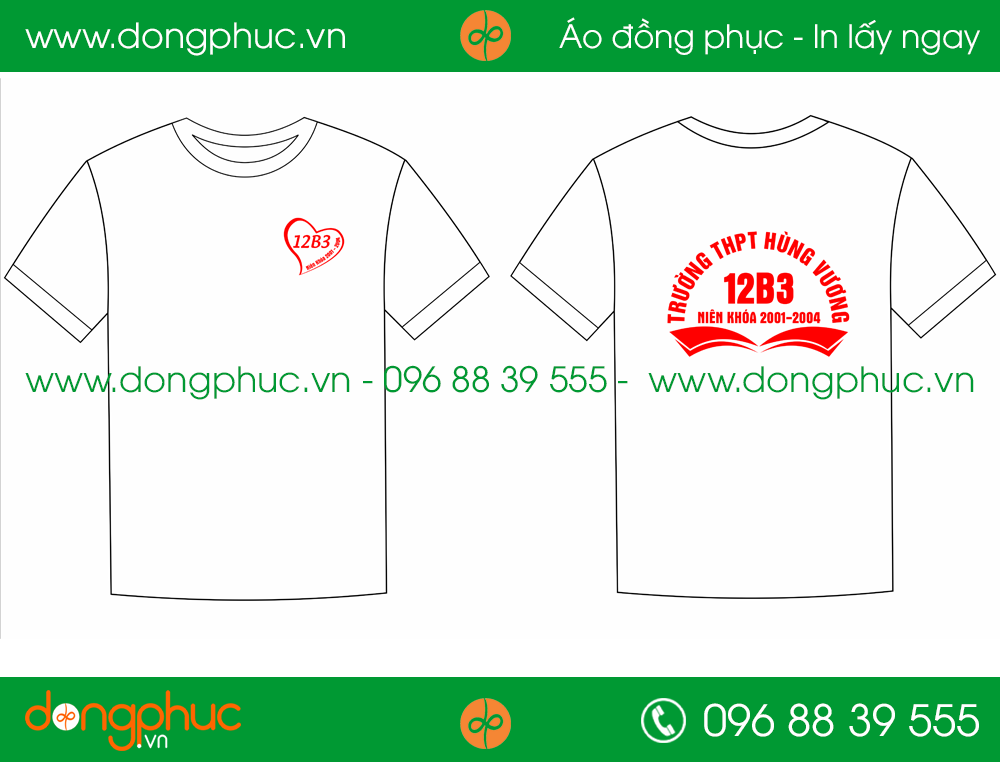 Áo phông đồng phục Lớp 12B3